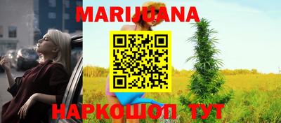 Альфа ПВП Будённовск